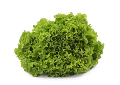 Салат айсберг 300 г - купить в Лучке